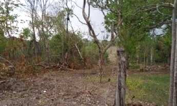 Imagem 7: Chácara na Estrada da Chapada