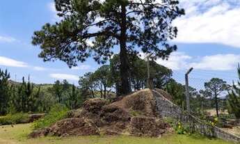 Imagem 7: Chácaras à venda em Itupeva/SP - Compre o seu chácaras aqui!