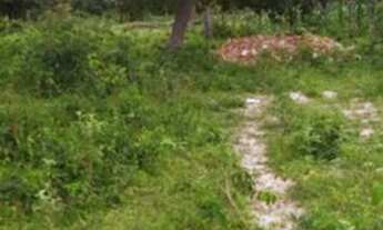 Imagem 2: Vendo terreno na barreira