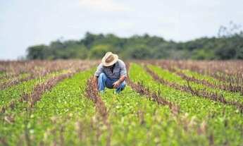 Imagem 2: Investimento rural parcelado no boleto Alq