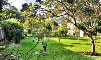 Imagem 4: Blumenau - Terreno Padrão - Valparaiso