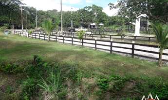 Imagem 2: Chácara a venda na comunidade ninho das nossa senhora do livramento