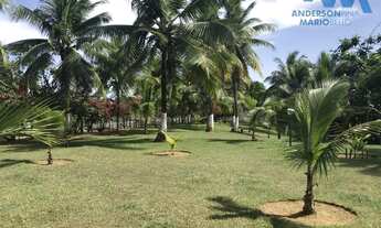 Imagem 5: Sítio para Venda em Salvador, Cassange, 2 dormitórios, 1 suíte, 1 banheiro, 2 vagas