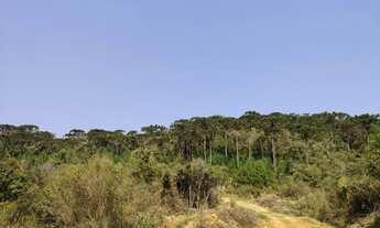 Imagem 2: Terreno para Venda, 435.600,00 m², Campo Alegre / SC, bairro Rodeio Grande