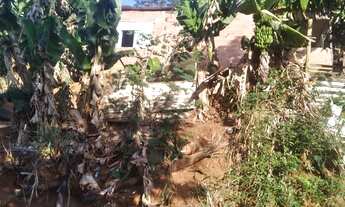 Imagem 4: Vendo uma casa com um grande terreno