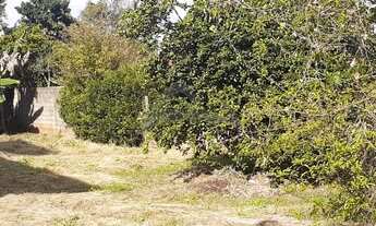 Imagem 5: Terreno - Chácara Primavera - Campinas