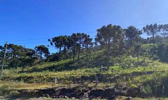 Imagem 2: Urubici/Área rural de 6.9 Hectares ás margens da SC-110, sentido São Joaquim