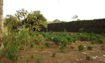 Imagem 4: Venda Commercial / Land Lot Nova Lima MG