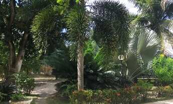 Imagem 5: Fazenda/Sítio/Chácara para venda tem 1738 metros quadrados com 2 quartos em Tapuio - Aquir