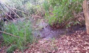 Imagem 6: Londrina - Terreno Padrão - Bairro Limoeiro