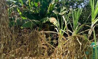 Imagem 7: Casa com 3 quartos - Bairro Parque Montreal em Aparecida de Goiânia