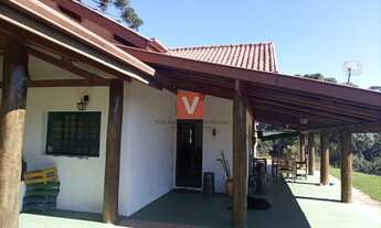 Imagem 3: Fazenda/Sítio/Chácara para venda tem 55000 metros quadrados com 3 quartos