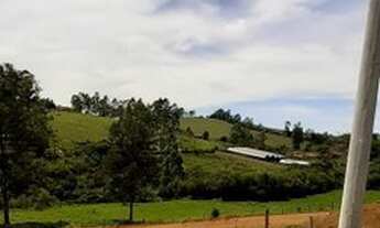 Imagem 6: CONSELHEIRO LAFAIETE - Terreno Padrão - Sagrada Família
