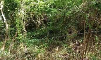 Imagem 6: ST Imóveis vende terreno proxímo a rua principal em Piratininga