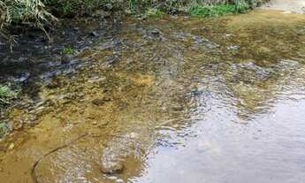 Imagem 7: Terreno para Venda, 435.600,00 m², Campo Alegre / SC, bairro Rodeio Grande