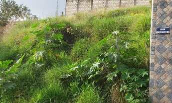 Imagem 7: CONGONHAS - Terreno Padrão - Zé Arigo