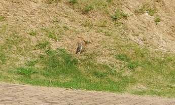 Imagem 5: Terrenos em Condomínio à venda em Louveira/SP - Compre o seu terrenos em condomínio aqui!