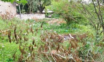 Imagem 6: ALVORADA - Terreno Padrão - Umbu