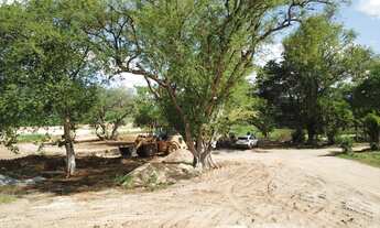 Imagem 5: L1- Loteamento Tulipas de Maranguape! Entrada Somente R$ 599! .186B