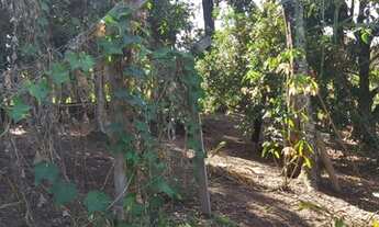 Imagem 4: Lote/Terreno para venda tem 9132 metros quadrados em Maracanã - Jarinu - SP