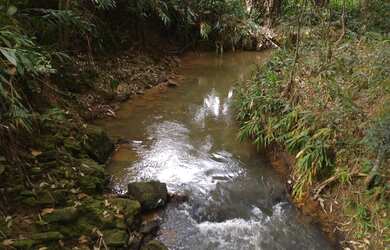 Imagem 2: Oportunidade está em Parapeúna distrito de Valença - RJ