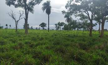 Imagem 5: Fazenda para Venda em Marianópolis do Tocantins, Marianopolis