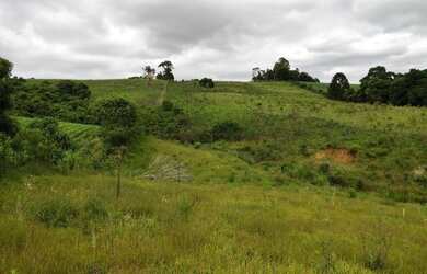 Imagem 2: Terreno Rural para Venda, 64.493,00 m², São Bento do Sul / SC, bairro Alpino