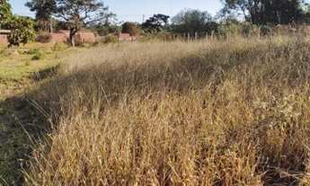 Imagem 3: Lote na 26 de setembro