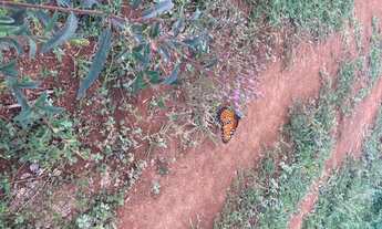 Imagem 2: R5- Promoção de terrenos com entrada de 20k. Lotes de 1.000 metros quadrados