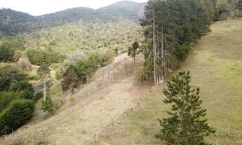 Imagem 3: Lote / Terreno em Cascatinha - Nova Friburgo