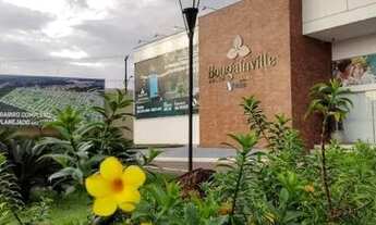 Imagem 4: Bouganville - Repasse Lote Comercial