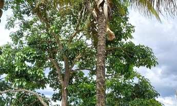 Imagem 4: Bela Casa colonial 3 Qts, confortável, bem localizada em área nobre de Brasília