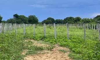 Imagem 2: Fazenda no pantanal MT
