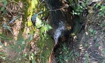 Imagem 3: Terreno à Venda, 20.000m2 a 55km de Brasilia, Entrada Facilitada + 625 por mês