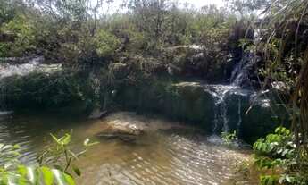 Imagem 5: Fazenda 1095 ha Rio Negro/MS