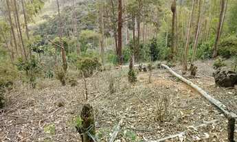 Imagem 5: Terreno 20.000m2