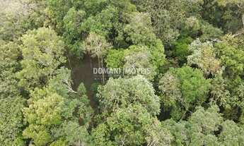 Imagem 6: Ampla Área de Terreno à Venda na Região de Descansópolis - Campos do Jordão/SP