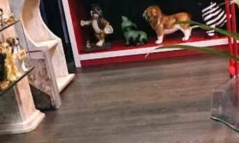 Imagem 2: Apartamento 2 dormitórios (1 Suíte), sala ampla para 2 ambientes, 1 banheiro, 2 vagas de g