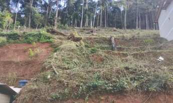 Imagem 4: Terreno, Lote em Marechal Floriano