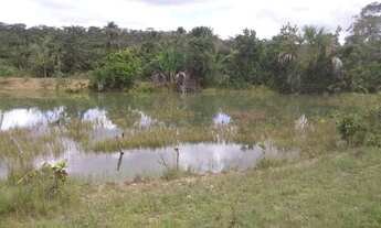 Imagem 3: Excelente chacara