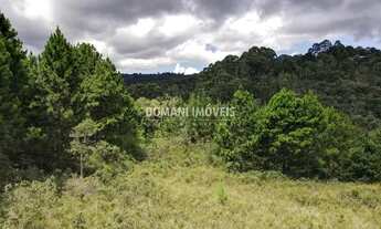 Imagem: Ampla Área de Terreno à Venda na Região