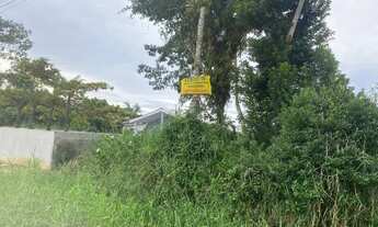 Imagem 2: Terreno Coroados