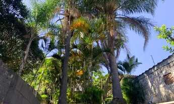 Imagem 3: Kitnet com 1 dormitório para alugar - Vila Aurora - São Paulo/SP