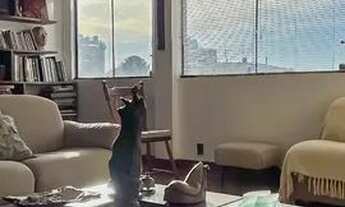 Imagem 2: PORTO ALEGRE - Apartamento Padrão - Moinhos de Vento