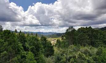 Imagem 6: Ampla Área de Terreno à Venda na Região do Alto da Boa Vista - Campos do Jordão/SP