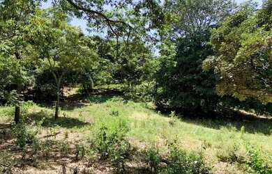 Imagem 3: Chácara 4000m², Frente GO-040, Terra de Cultura, Pés de Frutas, Cercada, 70km Goiânia