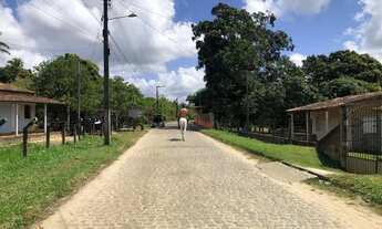 Imagem 5: Vendo terreno em povoado de Itaporanga Povoado Salvador 38.000