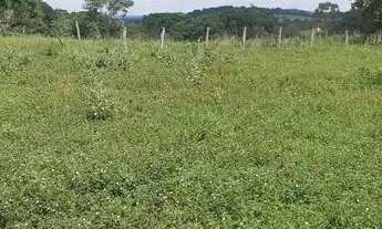 Imagem 2: CHACARA 1 ALQUEIRO MUNICIPIO JARAGUA