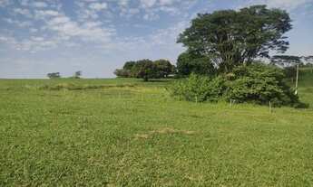 Imagem 6: Área Nobre 2.000 MTS/ R$80.000 Vera Cruz Sp