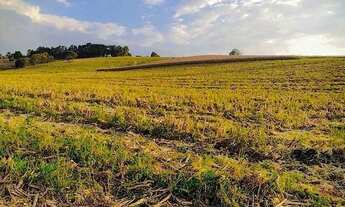 Imagem 4: Todos os lotes somente essa semana sem juros!